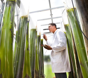 La nueva estrategia europea de bioeconomía impactará en el mundo del packaging