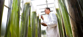 La nueva estrategia europea de bioeconomía impactará en el mundo del packaging