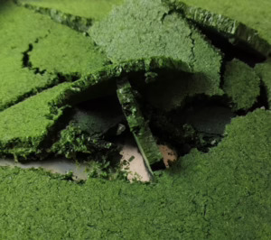 Anfaco-Cytma desarrolla nuevos ingredientes y prototipos gracias al programa Optiprot