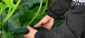 Anecoop incorpora a Eurofruits Levante como socio y fortalece su oferta hortícola