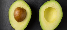 Alcoaxarquía quiere conquistar nuevos mercados europeos tras abrir plataforma en Perpiñán