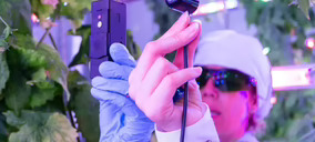 Ekonoke lleva su tecnología de cultivo de lúpulo premium a Japón de la mano de Sumitomo Corporation