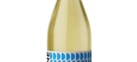 Dcoop responde a las tendencias e invierte en sus instalaciones de vinos