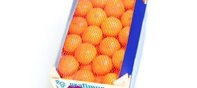 El sector murciano del packaging pierde un actor