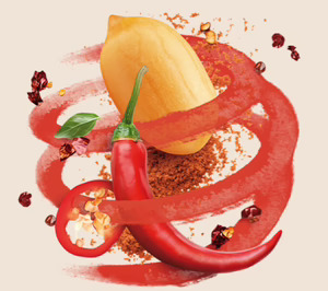 Frit Ravich se apoya en 3DEXPERIENCE para acelerar el lanzamiento de nuevos productos