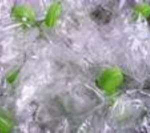 La Comisión Europea lanza un nuevo paquete para potenciar la Economía Circular