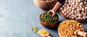 Informe 2026 del sector de Legumbres en España
