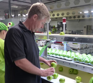 Miquel Roig (Fructícola Empordà): Las variedades club son una buena baza para reconquistar al consumidor