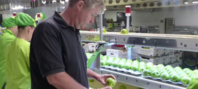 Miquel Roig (Fructícola Empordà): Las variedades club son una buena baza para reconquistar al consumidor