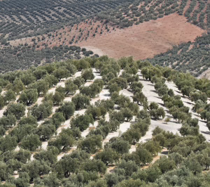 El reclamo de la salud y la sostenibilidad