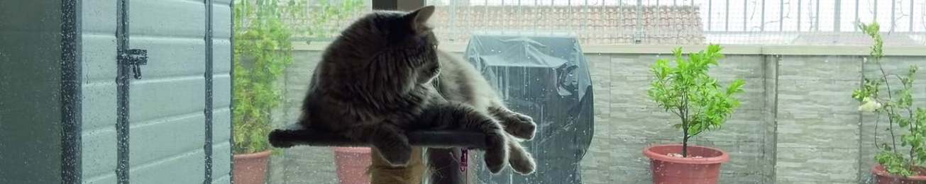 Informe 2026 sobre Pet Care en España