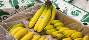 Compagnie Fruitière España invierte en eficiencia energética y sostenibilidad de sus almacenes