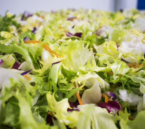 Huerta de Peralta potencia su crecimiento de la mano de Grupo Enhol y Stellum Capital