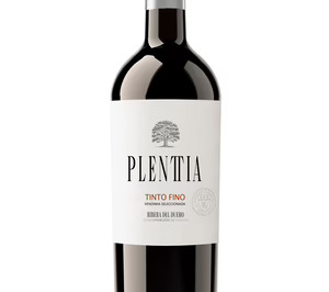 Bodegas Piqueras aborda una nueva mención vinícola