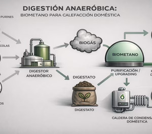 El biometano como vector clave en la descarbonización