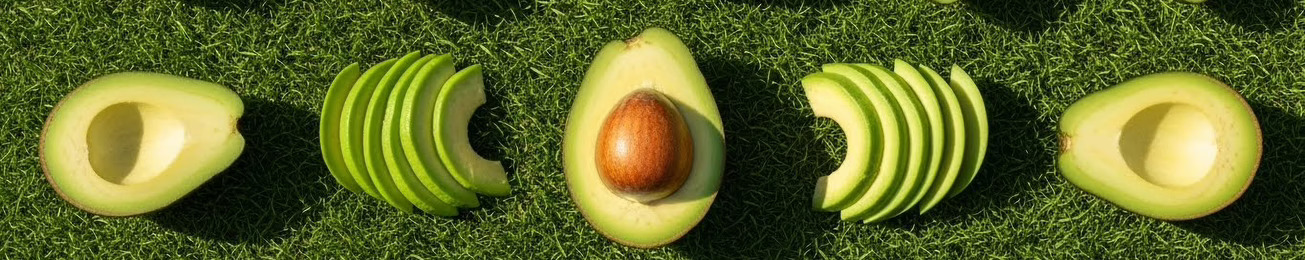 Informe 2026 del sector de frutas tropicales y exóticas en España