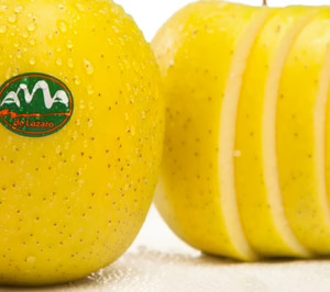 Frutas Lázaro incrementa volúmenes con ‘AMA’ y realiza inversiones en su central para ganar eficiencia