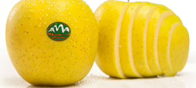 Frutas Lázaro incrementa volúmenes con ‘AMA’ y realiza inversiones en su central para ganar eficiencia