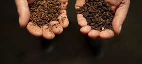 Bioflytech aplicará computación cuántica e IA en la cría industrial de larvas de mosca soldado