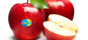 Frutas E. Sánchez crece en el retail con ‘Que Rica’, su propuesta prémium de manzanas