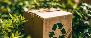 Informe 2026 de Innovación y Sostenibilidad en Packaging en España