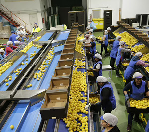 SAT San Cayetano (Alpi) avanza en su plan inversor al tiempo que eleva facturación