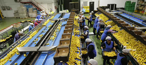 SAT San Cayetano (Alpi) avanza en su plan inversor al tiempo que eleva facturación