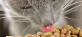 Portobello podría cerrar este año la venta de Elmubas Petfood