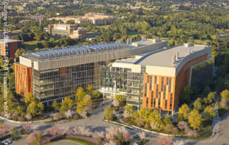 Obras internacionales (02-08/02/2026)