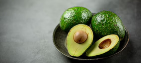 ‘TrÓpico’ da un paso de gigante en su expansión con unas nuevas instalaciones en La Axarquía