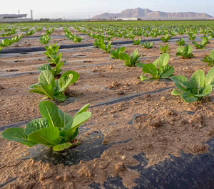 SAS Group compra la biotecnológica madrileña Ceres Biotics y amplía sus soluciones agritech