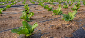 SAS Group compra la biotecnológica madrileña Ceres Biotics y amplía sus soluciones agritech