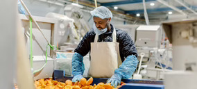 Ceamsa adquiere el negocio de fibra cítrica de la holandesa PeelPioneers