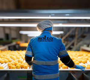 Bollo Natural Fruit y ClemenGold International se alían para garantizar el suministro de mandarinas durante doce meses