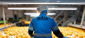 Bollo Natural Fruit y ClemenGold International se alían para garantizar el suministro de mandarinas durante doce meses