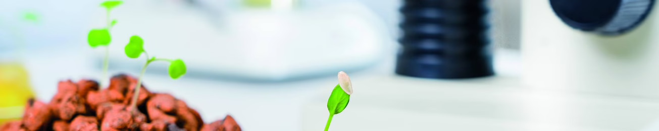 Así se encuentra el reparto de subvenciones del Perte Agroalimentario II, un año y medio después de su activación