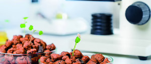 Así se encuentra el reparto de subvenciones del Perte Agroalimentario II, un año y medio después de su activación