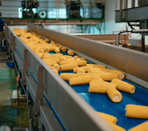 ¿Cómo será la nueva fábrica de maíz de Huercasa?