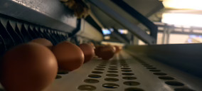 Hevo Group vuelve a comprar para reforzar su negocio de MDD