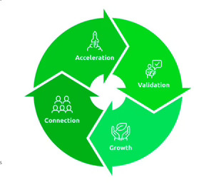 IA, sostenibilidad e IoT protagonizan la 10ª edición del programa de innovación abierta BIND