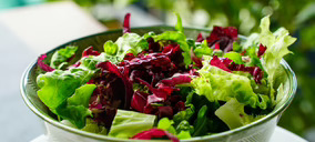 Las frutas y hortalizas de IV gama volverán a crecer un 10% este año, según Afhorfresh