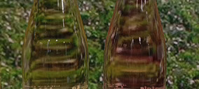 Bodegas Ayuso rema a favor de las tendencias