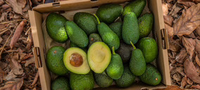 Natural Tropic aborda una gran ampliación para duplicar la capacidad productiva de frutas tropicales