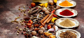 José Sánchez Aranda acelera inversiones para quedarse a las puertas del top 10 del sector