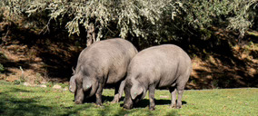El grupo Vall Companys entra en el capital de una relevante fabricante de ibérico