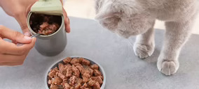 United Petfood proyecta levantar una fábrica en Portugal y amplía la de Zaragoza