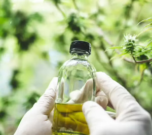 La EFSA aprueba el uso de CBD como Nuevo Alimento en complementos nutricionales