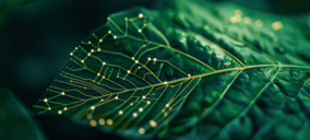 Savian Robotics avanza en su hoja de ruta y lanza su tercera herramienta Ojo de halcón