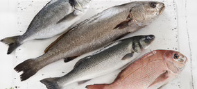 Cooke liderará la acuicultura mediterránea al aunar Avramar Seafood con Culmarex