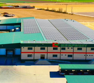 Una sociedad inversora se hace con una gran especialista en zanahorias